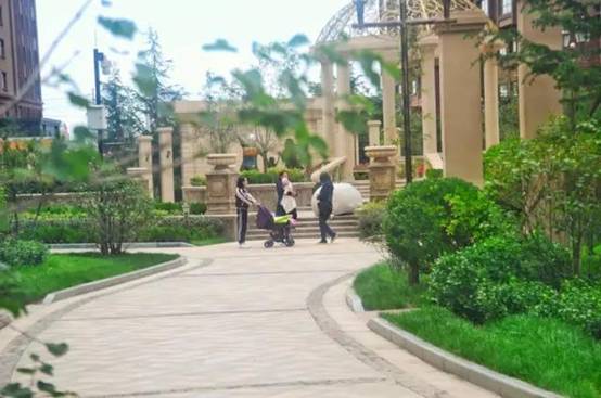 微信图片_20170902085144